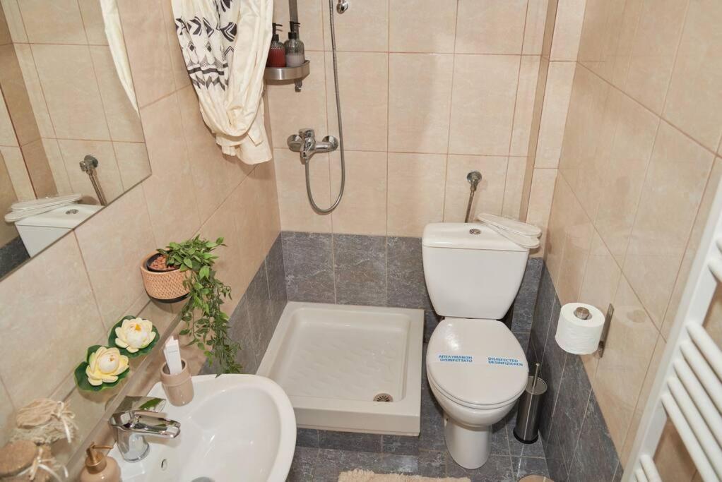 Florina Modern Studio Bagian luar foto